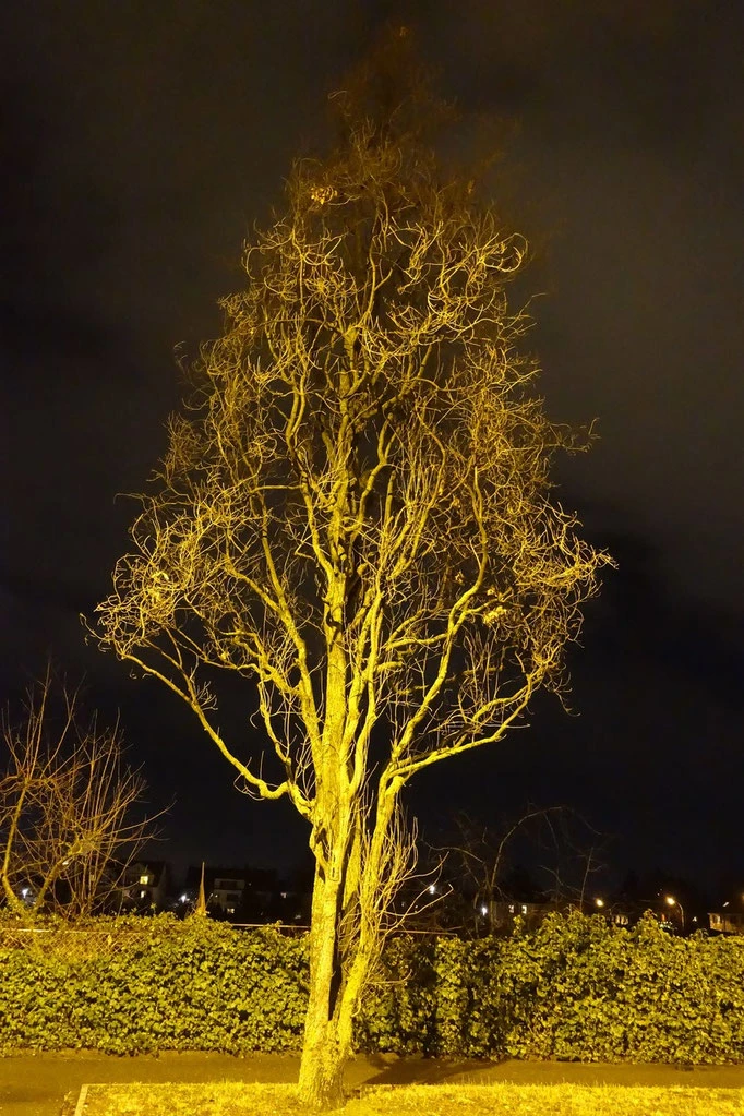 Schief in der Landschaft